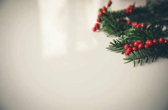 Maintaining Your Mental Health During the Holiday Season